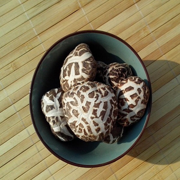 沁源蘑菇