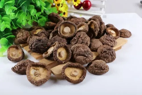 化腐朽为神奇，解密食用菌里的财富密码
